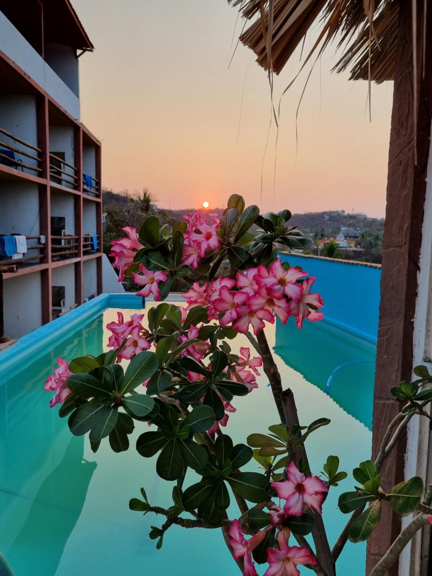 Namaste Zipolite Suites 外观 照片